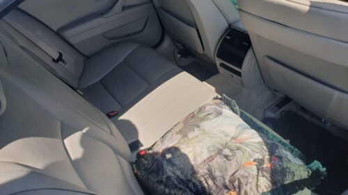 WhatsApp Image 2025-10-02 at 08.25.09 (7)