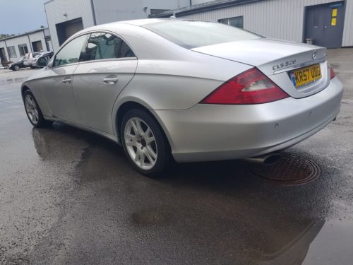 67616575_490001731815706_4692705401030836224_n