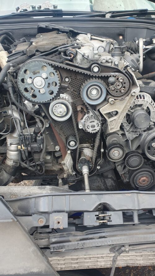 WhatsApp Image 2025-09-21 at 20.49.16