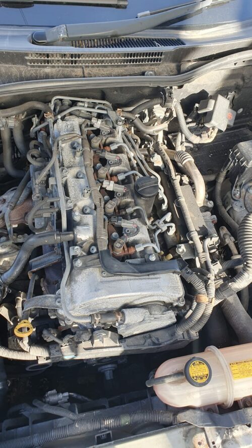 WhatsApp Image 2025-10-05 at 15.37.46