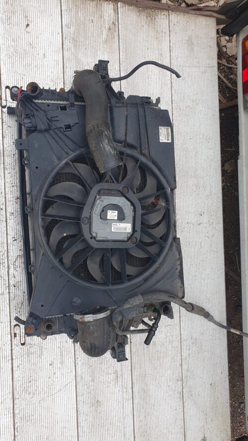 WhatsApp Image 2026-02-15 at 12.23.30 (1)