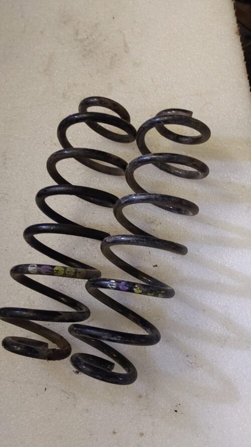 WhatsApp Image 2026-02-27 at 13.08.10